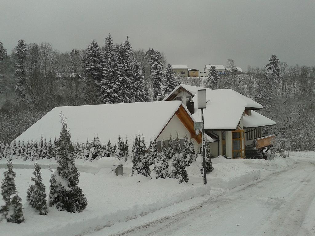 Dzt-Schwarzwaldhotel Garni Unterkirnach Kültér fotó